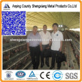 hot sales chicken cage mesh 20 years lifetime with Auto water system